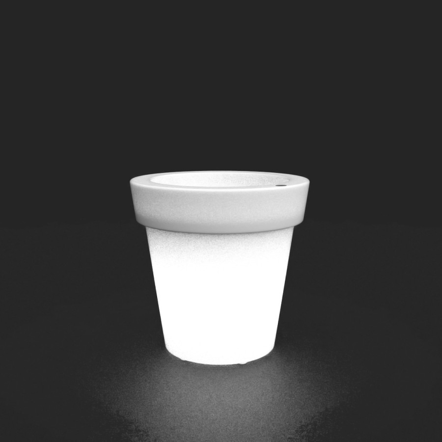 Tera Lux — Petit